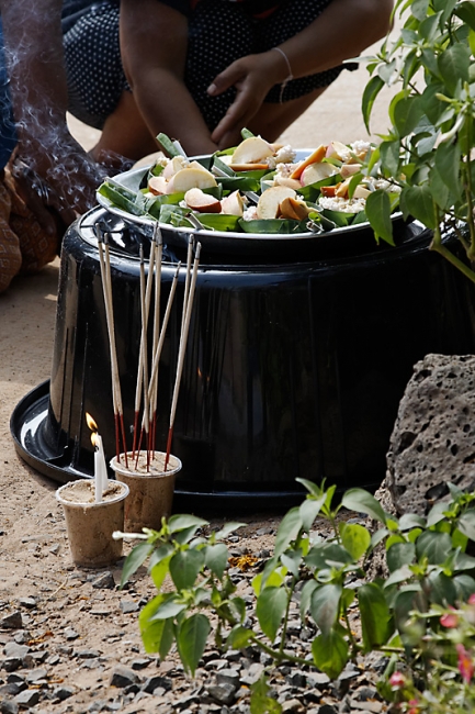 Famille et amis NOV11-018